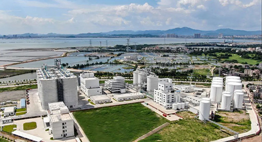 道道全攜手邁安德，2000噸菜籽智慧工廠72小時達產(chǎn)達標(biāo)