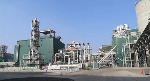 河北嘉好5000噸大豆項目投產