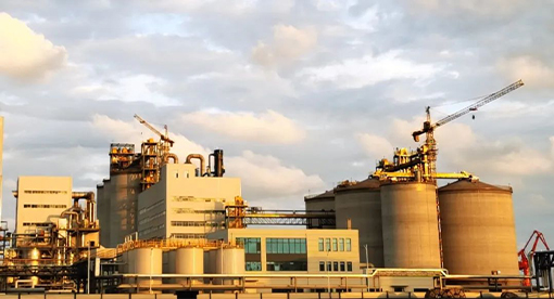 青島渤海董家口6000噸大豆預(yù)處理、浸出生產(chǎn)線