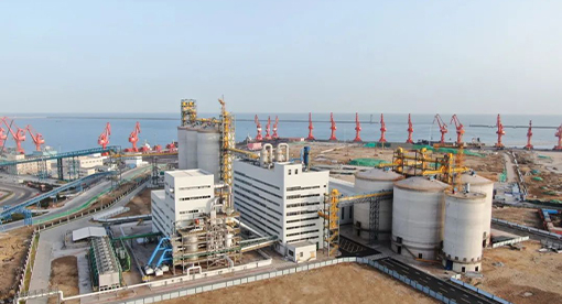 邁安德承建青島渤海6000噸大豆生產(chǎn)線